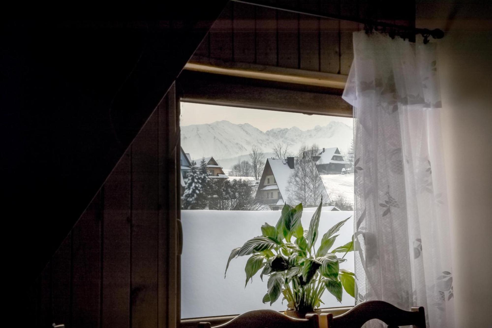 Apartament U Capka Poronin Bagian luar foto